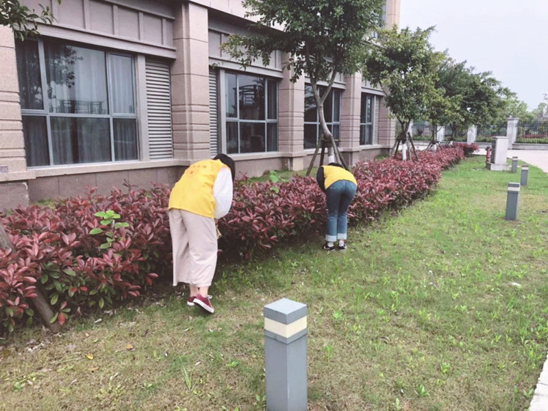 微信图片_20190505152322_副本.jpg 微信图片_20190505152322_副本.jpg