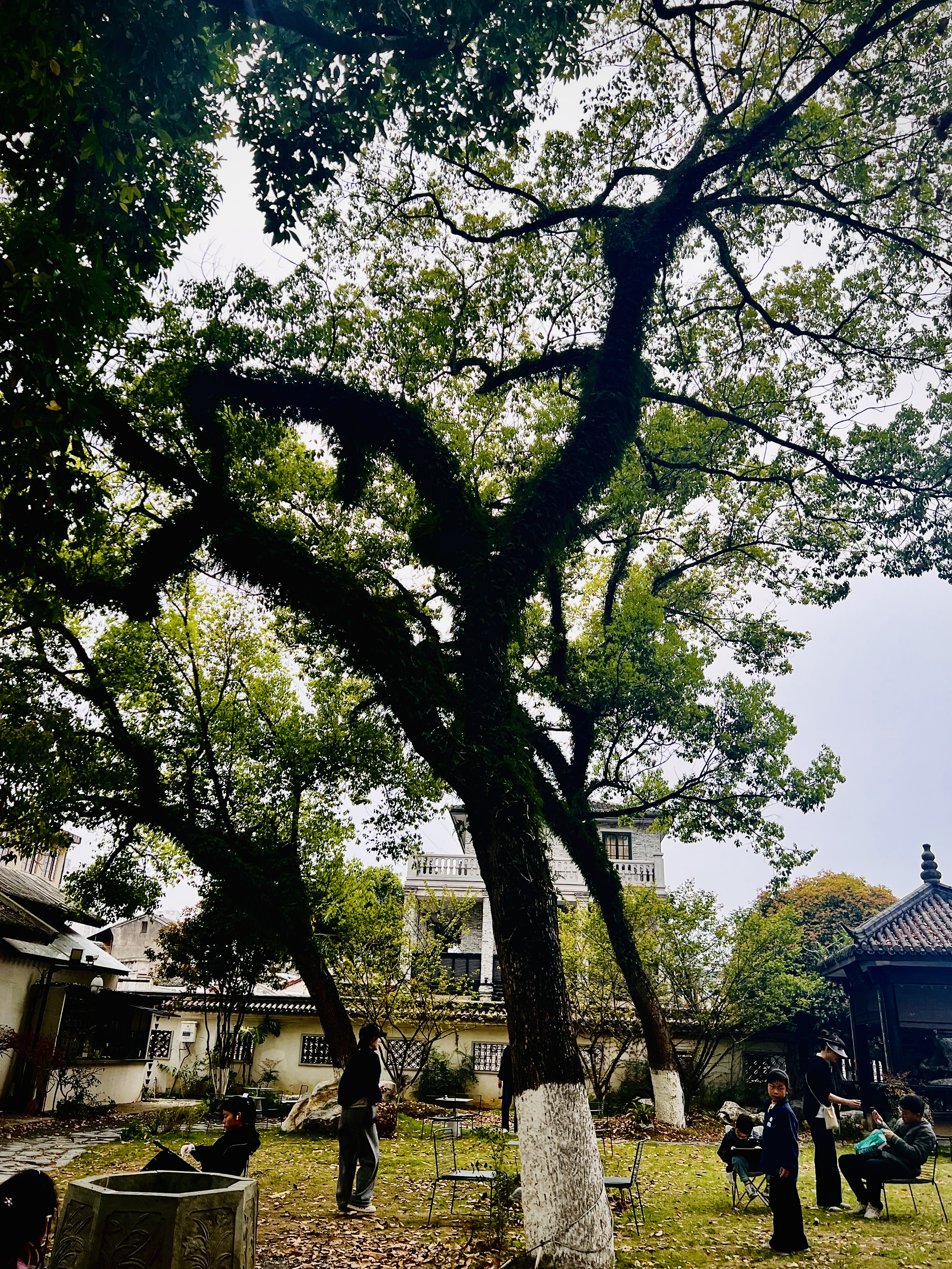 微信图片_20250526194517.jpg