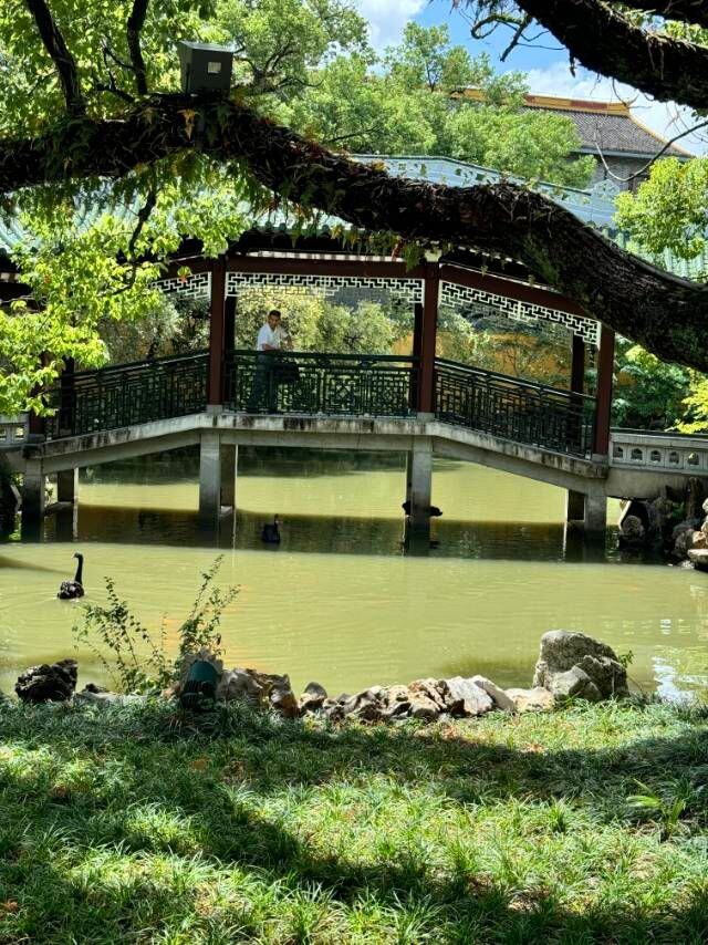 微信图片_20250526195146.jpg