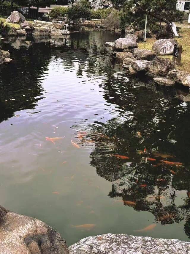 微信图片_20250526201846.jpg